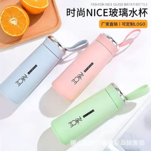 Portable Glass Water Bottle with Silicone Sleeve